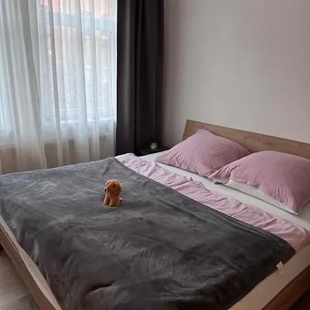 Kleine Und Gemuetliche Wohnung For 3 With Wi-Fi & Tv